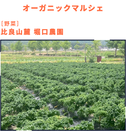 オーガニックマルシェ ［野菜］比良山麓 堀口農園